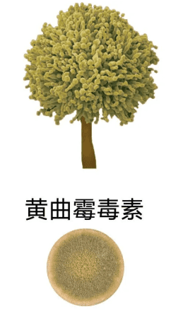 b5594f68920e9a85a69c17ad490faad5.png