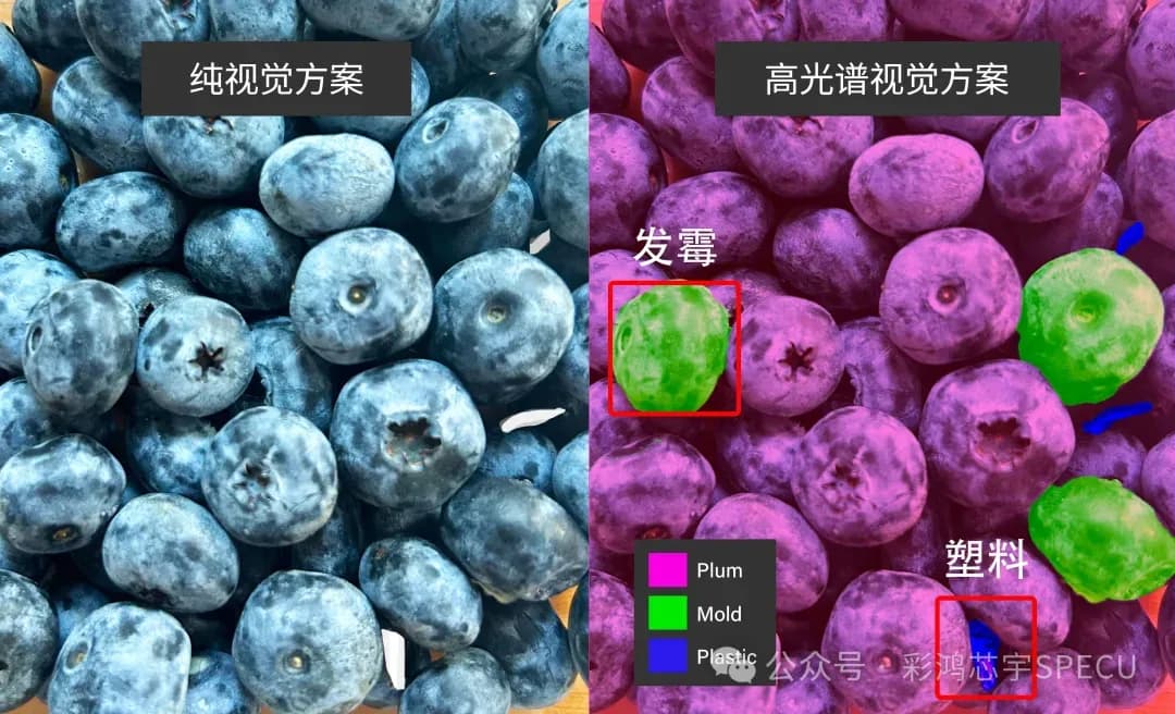 f1a4b71a2754fb6a09f29b03218d2866.webp