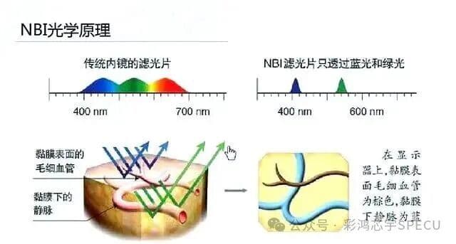 wechat-1b29551b42b278bb.jpg