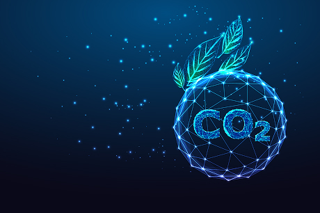 水稻种子活性检测